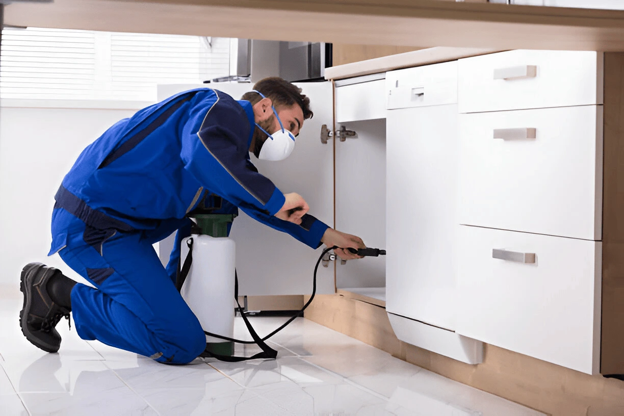 Anti-Termite Treatment